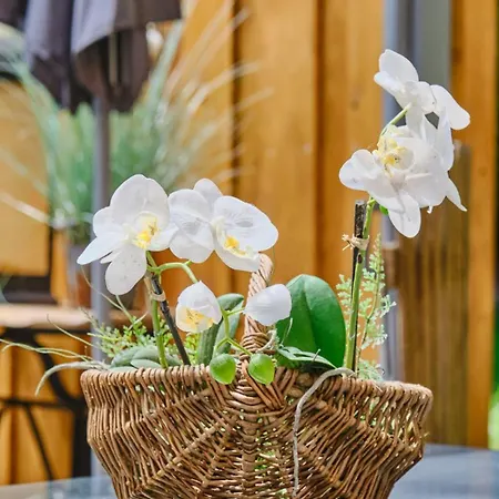 Holiday home Escale Cocooning *