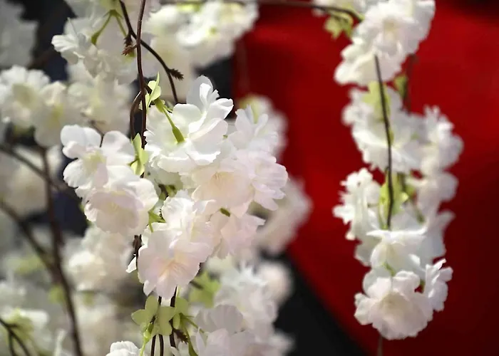 Escale Cocooning Dom wakacyjny *